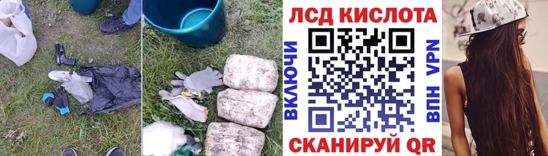 Купить закладки  Михайловка  Лсд 25 экстази кислота 