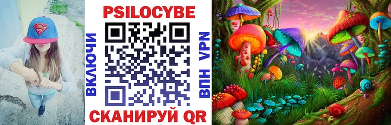 Галлюциногенные грибы ЛСД  Купить закладки  Михайловка 